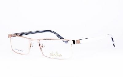 
Gladiator 1101 c1

