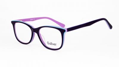 
Gulliver 8004 c04


