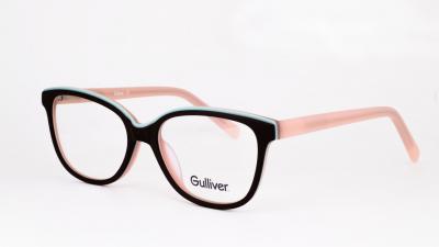
Gulliver 17112 c05

