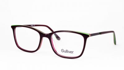 
Gulliver 8110 c3

