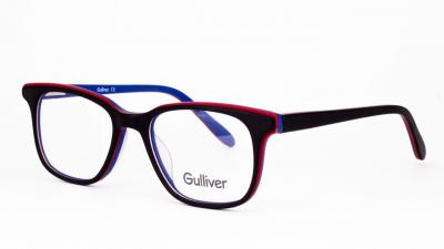 
Gulliver 8002 c2

