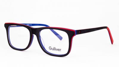 
Gulliver17153 c3

